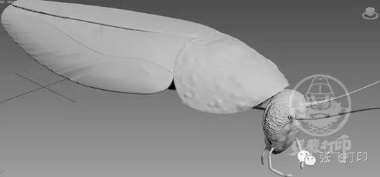 3D打印蟑螂小強誕生記(超精細) 妹紙膽小也可入
3D打印蟑螂,3D打印小強,3D打印技術,3D打印服務,3D打印平臺,e鍵打印