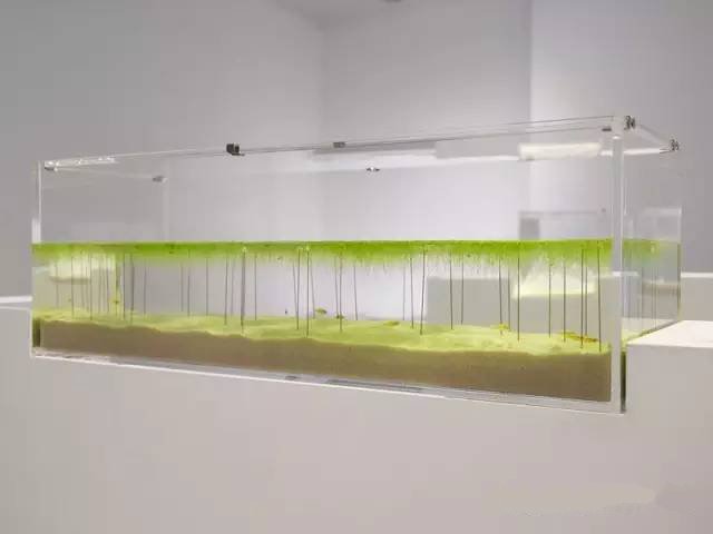 精美3d打印創意作品圖片欣賞 你見過3D打印的魚缸么?