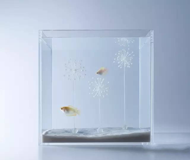 精美3d打印創意作品圖片欣賞 你見過3D打印的魚缸么?