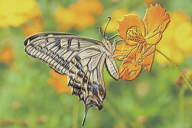 3D打印機(jī)小弟2.5D打印機(jī) 用來(lái)打印盲文效果嗷嗷的