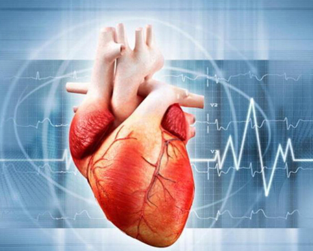 3d打印應(yīng)用案例:3D打印人體器官的那些事兒 3d打印應(yīng)用案例:3D打印人體器官的那些事兒