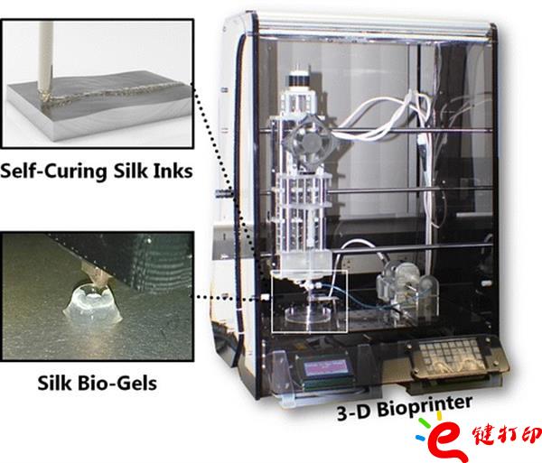 3d打印的材料有哪些,新型3d打印材料,3d打印材料價(jià)格,3d打印墨水,生物3D打印