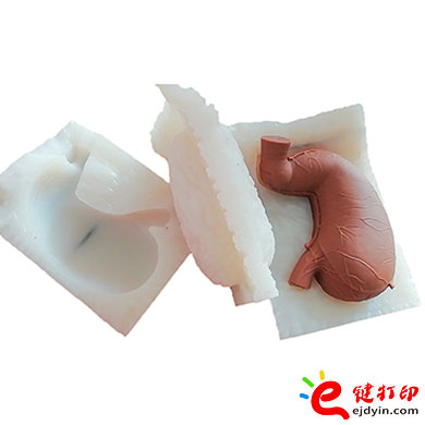 人體胃部復(fù)模手板4